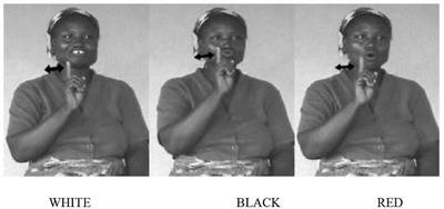 Distinguishing selection pressures in an evolving communication system: Evidence from color-naming in “cross signing”